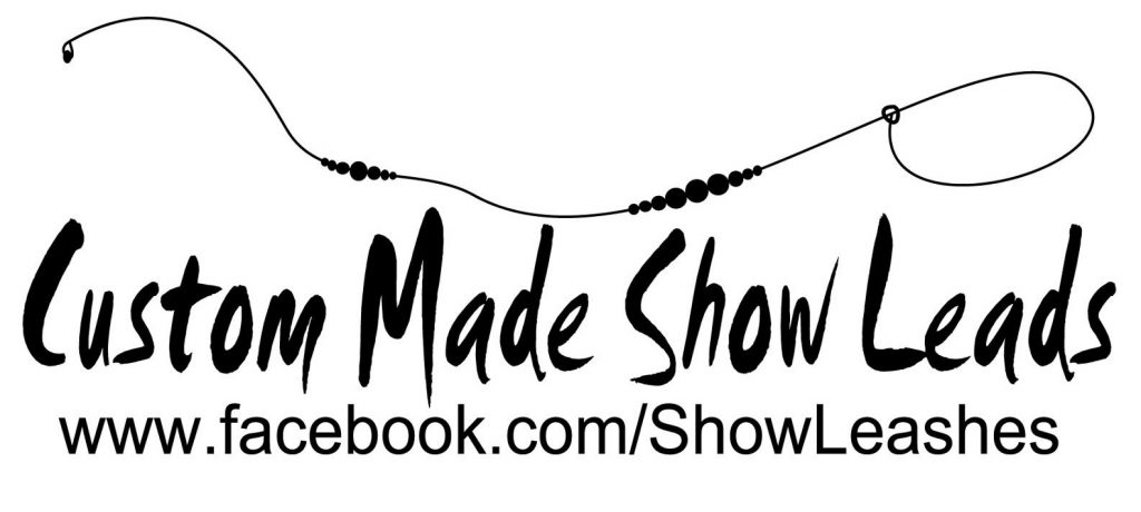 logo_custummadeshowleads