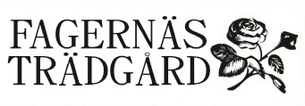 logo_fagernas