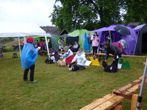 Utstallning Tjorn 2014 06 28 023 junior hanar