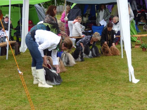 Utstallning Tjorn 2014 06 28 034 ch.klass hanar