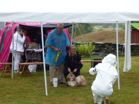 Utstallning Tjorn 2014 06 28 048 vinnare basta hane & cert