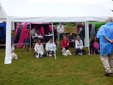 Utstallning Tjorn 2014 06 28 056 junior tikar