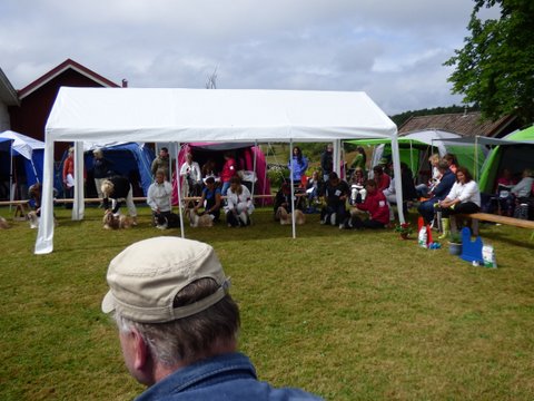 Utstallning Tjorn 2014 06 28 076 oppenklass tikar