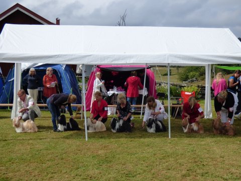 Utstallning Tjorn 2014 06 28 080 ch.klass tikar