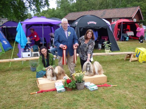 Utstallning Tjorn 2014 06 28 114 Bir & Bim veteran