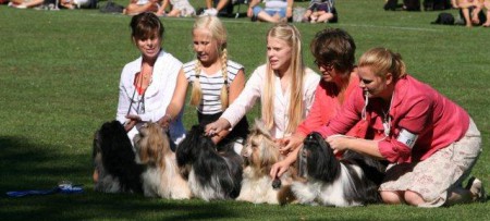 Ronneby Bis 2 avelsklass Fossella Kama Suta