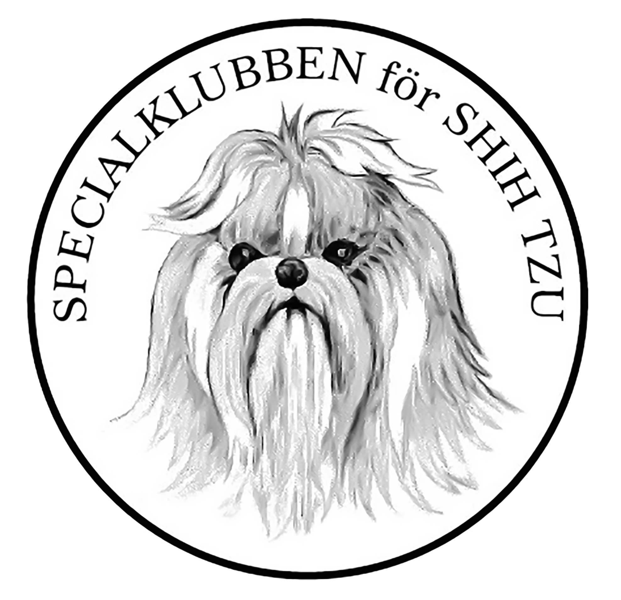 Rasklubben för Shih Tzu